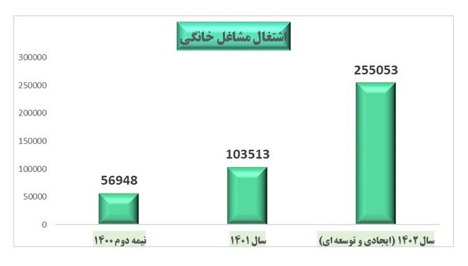 رشد اشتغال مشاغل خانگی در سه سال اخیر