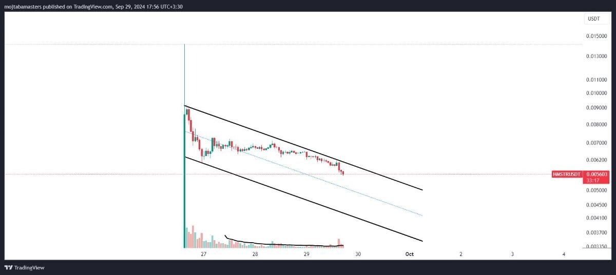 همستر همچنان در مسیر سقوط!