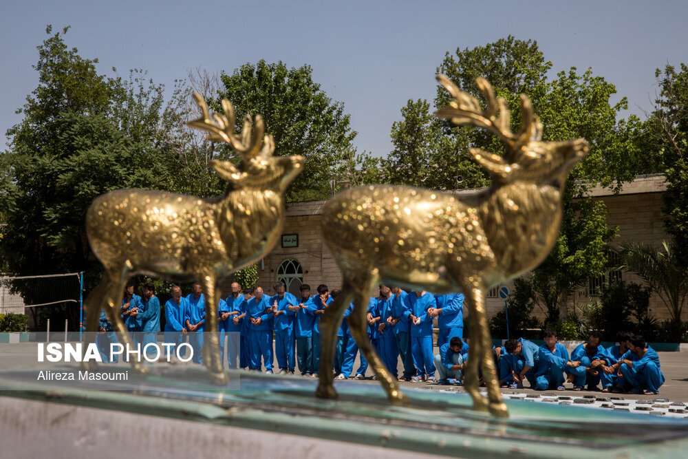 دستگیری سارقی به نام «تام» 